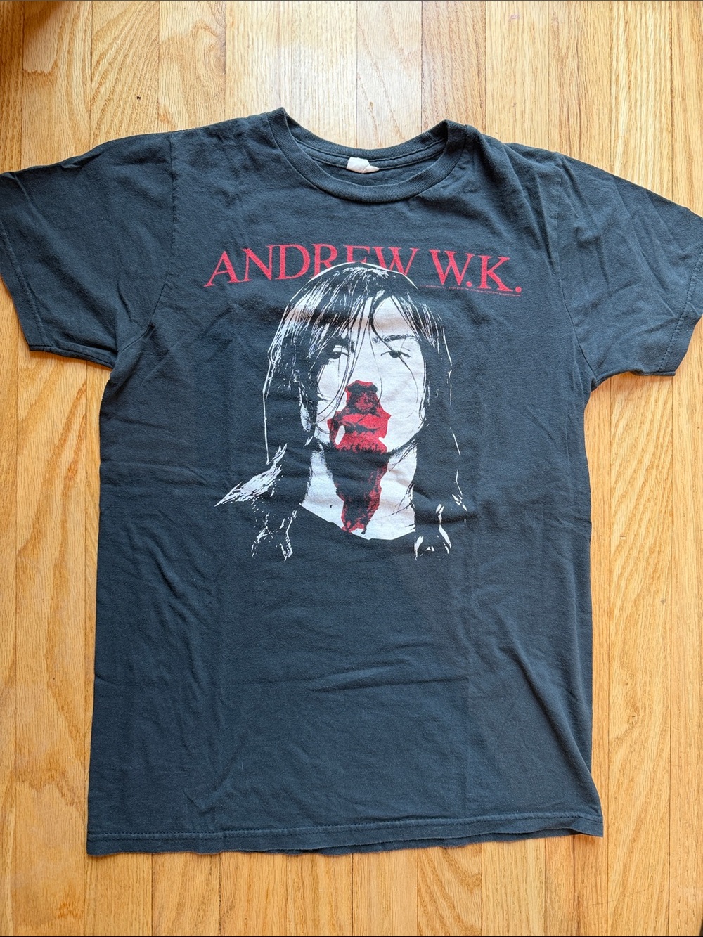 Andrew W.K. Tee